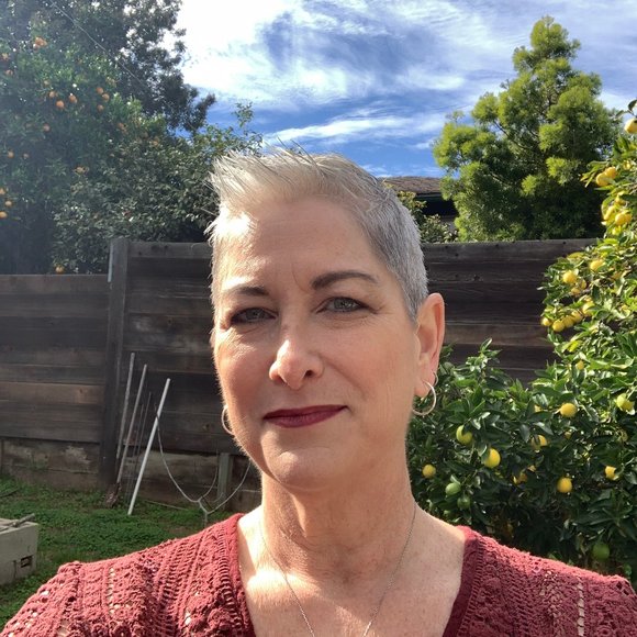 Meet your Posh Ambassador Lisa - Picture 2 of 7